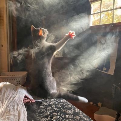 charlotewinslow's profile picture. Loving mom and dedicated account manager.
Kind, driven, and always putting others first.
Balances work and life with grace and heart.