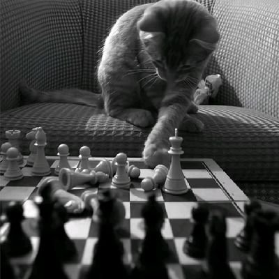 dravyn45's profile picture. Front-end developer | web3 security researcher | solidity | HTML | CSS | JS