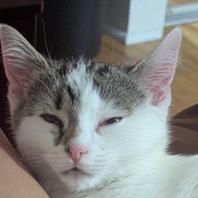 omis_ego's profile picture. 