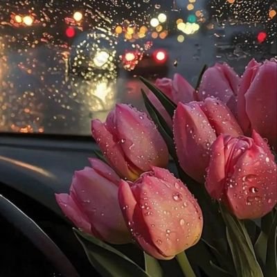 reem126213's profile picture. الشكل يجذبك مبدئياً، 
لكن العقلية تحدد الاستمرارية