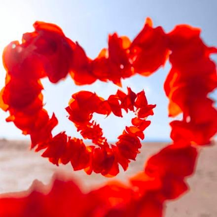 gul_noor17746's profile picture. follow back 💯💯🔙🔙🔙🔙🔙🔙🔙🔙 💯💯💯💯💯💯💯💯💪💪💯💯💯💯💯💯💯