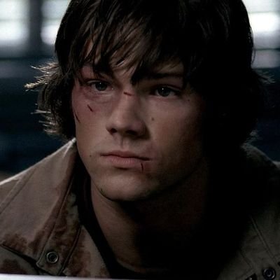 gengarwebs's profile picture. just your friendly neighbourhood spider-man ⭑ cw: spn s8