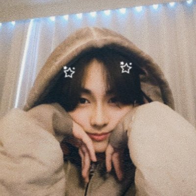 star_wonnn's profile picture. all i do is yap and yap and yap about skzenhadoor