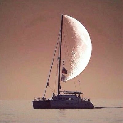 ali09416349's profile picture. كل الكلام متأرجح حتي تثبته المواقف  ،،،