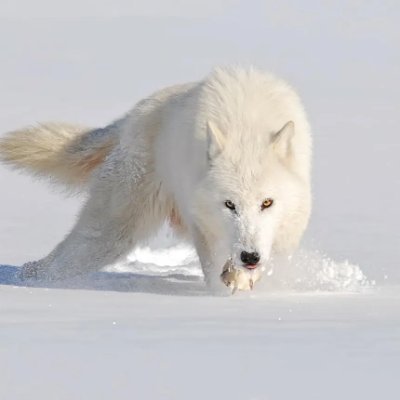 FrostyHillz420's profile picture. 