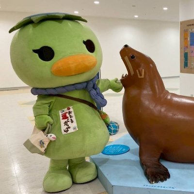 chikko_yuki's profile picture. 定年迎えてゆっくりまったりダラダラしてる年寄りです。
生まれてからずっと小樽に住んでます。
音楽はロック中心にいろいろ聴きます。
アイドルは大好きよ。
喫煙者いじめはやめてね。