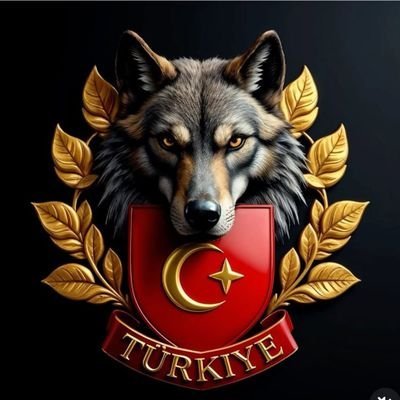 urachan__12123's profile picture. 👑 Bir umuttur yaşamak 👑                                
      
     🐺 Aksakallı 🐺Avcı kurt.🐺 Kurtbey. Paylaşımlar YTD. Al SAT tut tavsiye içermez 🖐