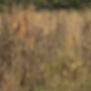 user777899655's profile picture. 