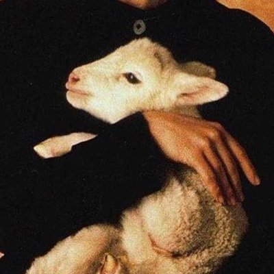 kageew's profile picture. 再說我戳瞎你