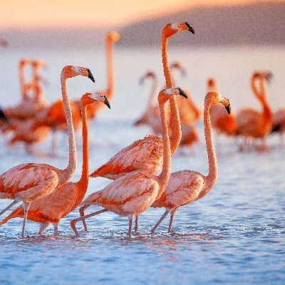 kdilipk41326715's profile picture. 