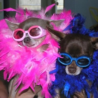 cheun_chu's profile picture. คีพคู่ 💜 #lingorm