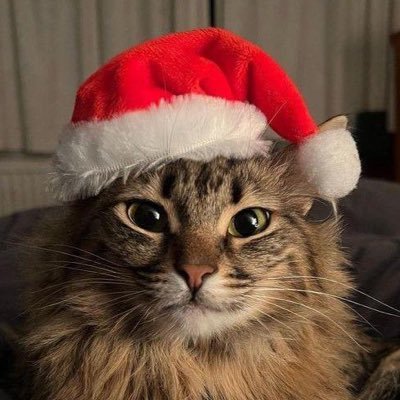 Zulo_Ren's profile picture. Late 20s | hobby artist | mostly reylo, rujinu & sabrina | fan account