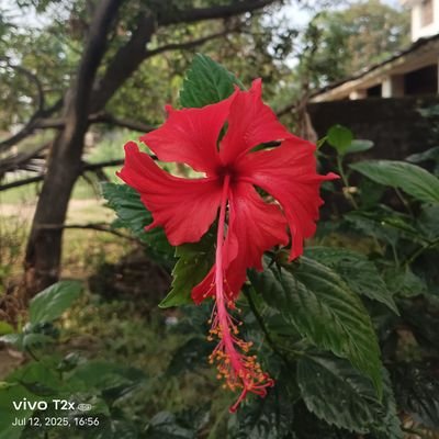 Manish657420's profile picture. Technical news