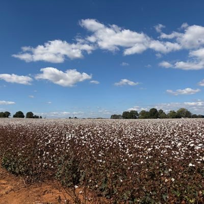 Somehow35756's profile picture. 미국 현지 직장인의 치열한 생존기 & 투자 기록. . (Just sharing my journey)🇺🇸🇰🇷