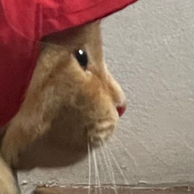 heraaynt's profile picture. i really meant it when i said i’d love you forever. i hope haechan knows i’ll never let go of his hands cause he made this life feels bearable ili aquarius