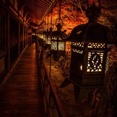 HamidBenomar3's profile picture. nothing