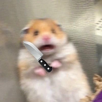 craft_withcode's profile picture. Learning the art of code, one bug at a time.