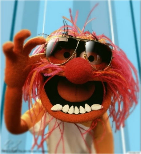 sheepletola's profile picture. 