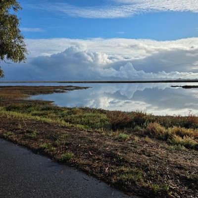 laurakwhiteside's profile picture. Mom, fur mom, retired nurse (35yrs), S.F. Native. Married to the most handsome husband.💕