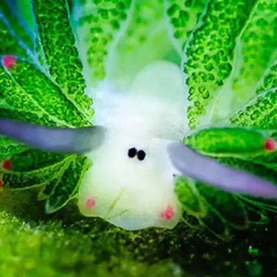 JonathanAafjes's profile picture. 