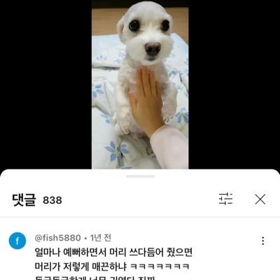 mauesz_'s profile picture. 