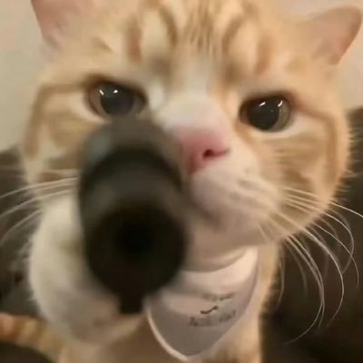 disjskdu's profile picture. 