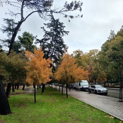 joelsiverio's profile picture. MKT Digital