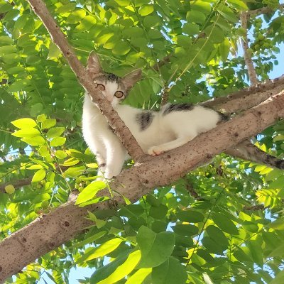 SowmiyaMuralid1's profile picture. எண்ணம் போல் வாழ்க்கை 💫












THE RELENTLESS ♌