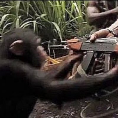 shortburner's profile picture. 