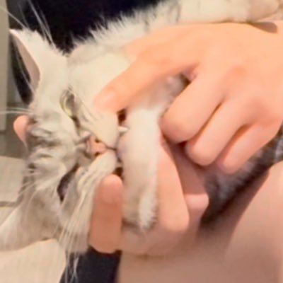 bebeztlyjm's profile picture. she likes spring, I prefer 유지민💕🥺 Let's keep growing together♡☾☆ꕤ•Ouranophile💙☁️• Always S♡NE #유지민은봐라 #지구젤리버블 #겨울이버블 #닝깅이에게 #mimiv #loverrukk 🦊🐰