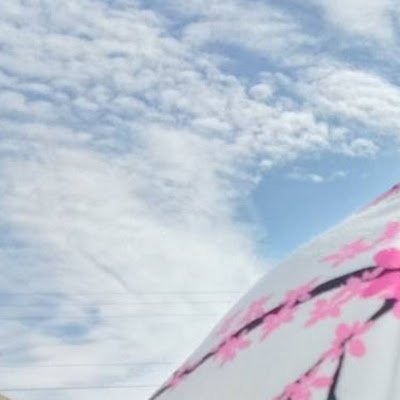 fish011291's profile picture. 