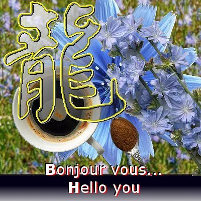 philmtjn's profile picture. Moi, Créateur de pages Web,  sites,  macro-programmat° et automatisat° de docs/jeux en langages internet et VB=geek