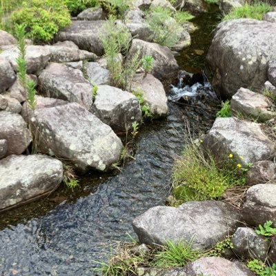 YQPRZECZ2W59532's profile picture. 