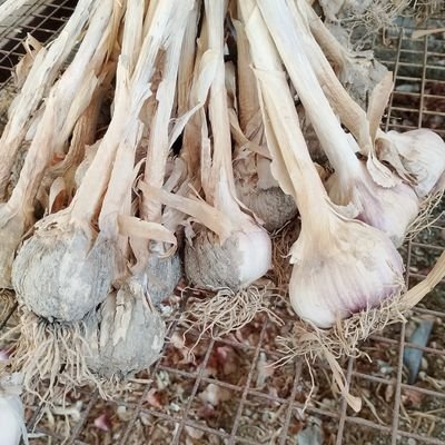 LyAlrhby78812's profile picture. 