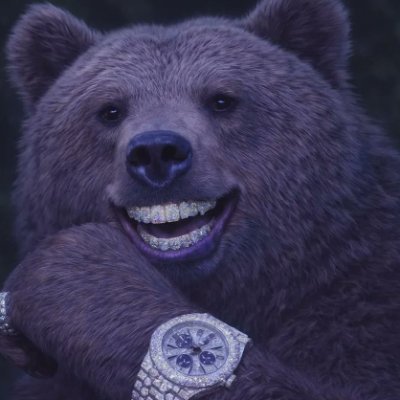 BIGBE4RRR's profile picture. DON’T KNOW