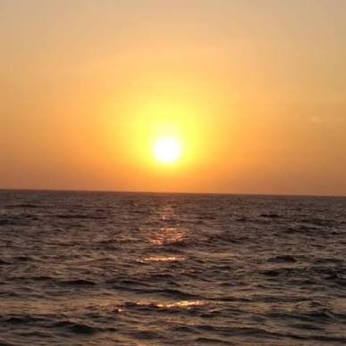 Rana_3255's profile picture. 