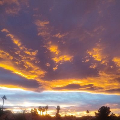 msB2031561's profile picture. Hi. Here to socialize.