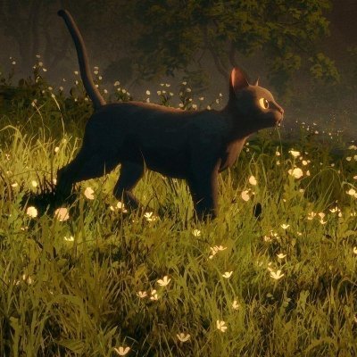 koshishjaarihai's profile picture. Free Palestine 🇵🇸🍉🗝