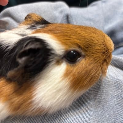 aji_sakana17's profile picture. 05 NFmember 浅瀬 理学療法学生👩‍🎓 #隠居生活