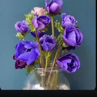 Kardelen1081933's profile picture. 