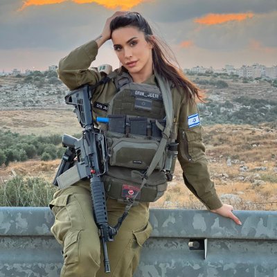 orin_julie05's profile picture. Proud Israel Tzahal💪
🗣️ Mental health & firearms.