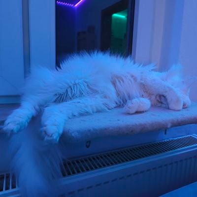 Wilbur_Ghost's profile picture. Just enjoying fanart of my favourite fandoms

She/Her