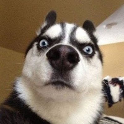 chareeyaaaa's profile picture. ...for all my 🤍