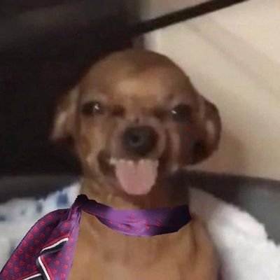 chrisnotfun's profile picture. did and daaat🦚