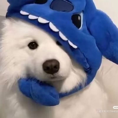 cz0975551671100's profile picture. 