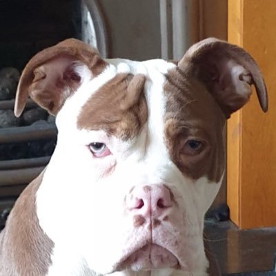 kathryn_walter9's profile picture. 