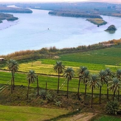 LawMeer98264's profile picture. حقوقي ⚖️🇮🇶