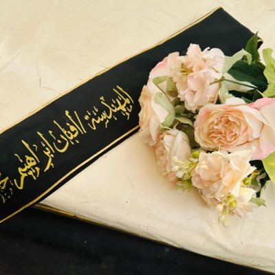 afnan_m29's profile picture. 📍 Gaza | IT