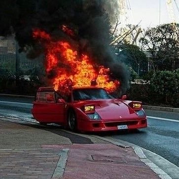 jlcmkokweza's profile picture. #FreePalestine | I be that pan mf🏳️‍🌈 
| "this ain't even my party" | Big step some moral