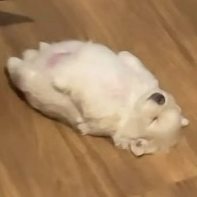 Kamammaka_zn's profile picture. ʏᴏᴜ ꜱᴍɪʟᴇ ɪ ꜱᴍɪʟᴇ // 🐺🐈// zee_pruk CwrNew(Fan Account )